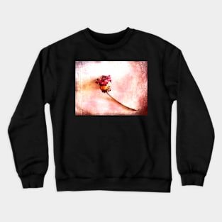 When Summer has passed. Crewneck Sweatshirt